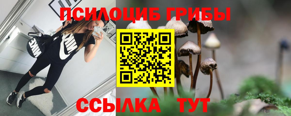 где можно купить наркотик  Галлюциногенные грибы прущие грибы  Вход с VPN  Кызыл 